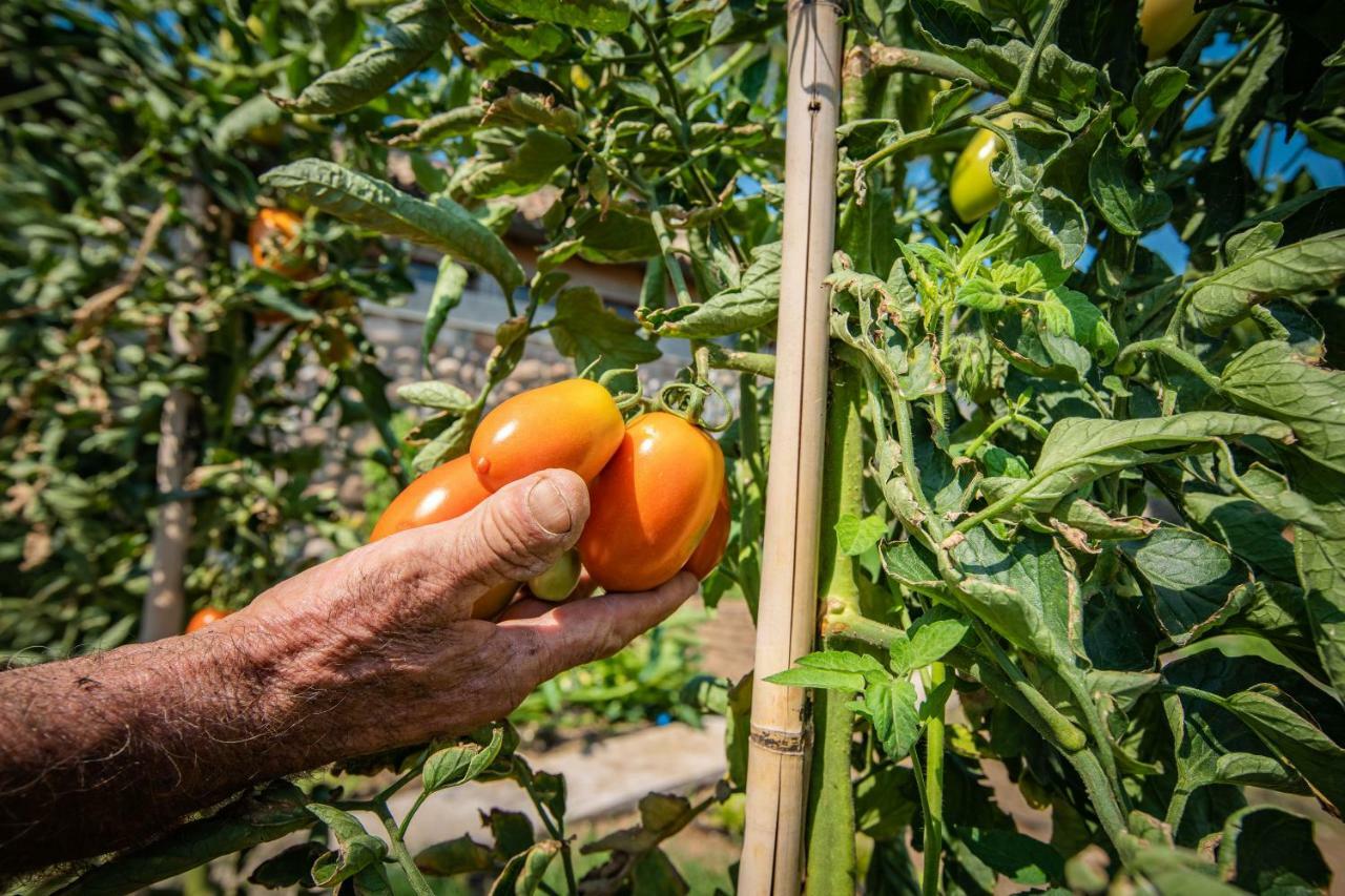 Agriturismo La Pertica 科斯特曼诺 外观 照片