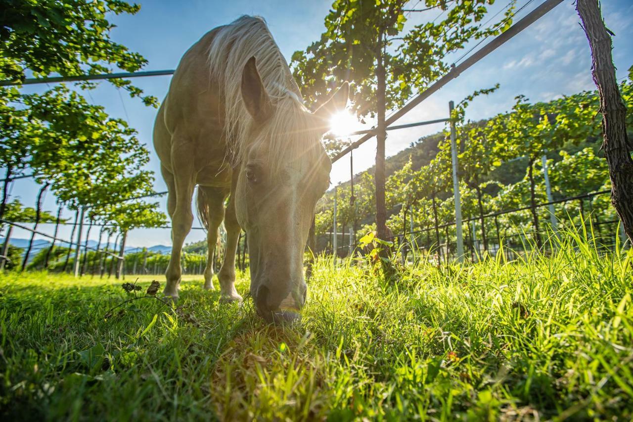 Agriturismo La Pertica 科斯特曼诺 外观 照片